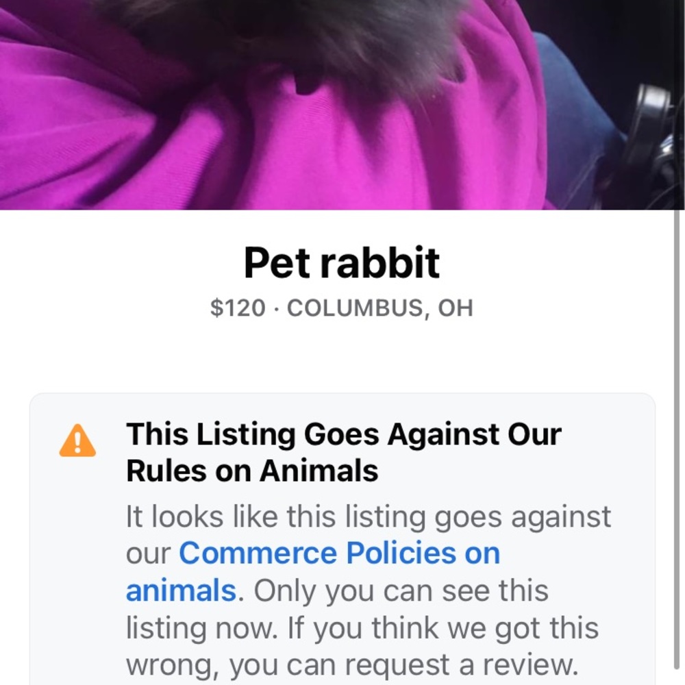 It’s a wonderful pet to have comfortable and nice